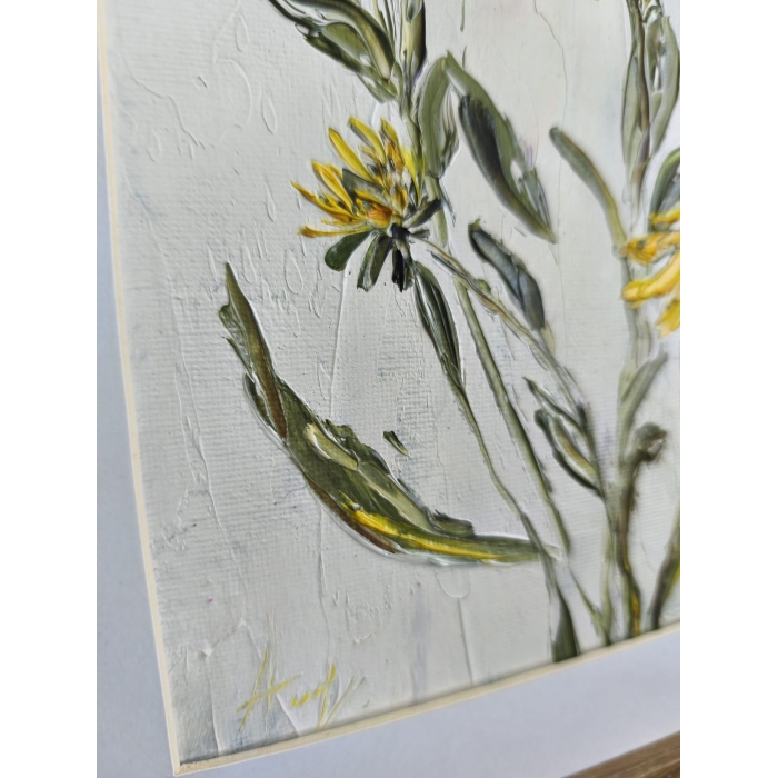 Rudbekia