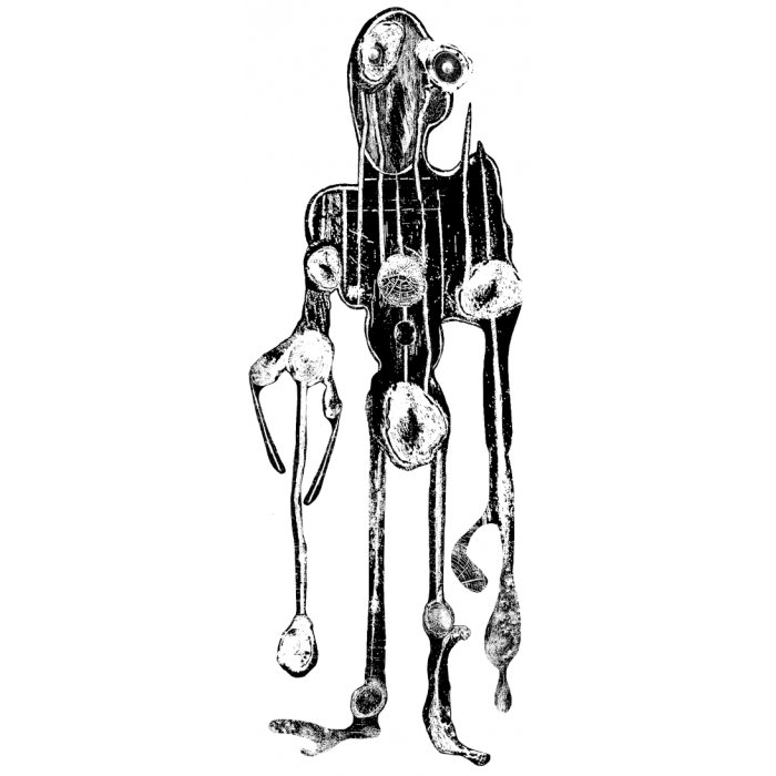 Cykl:Od natury do abstrakcji - hybrydalne figury w linorycie