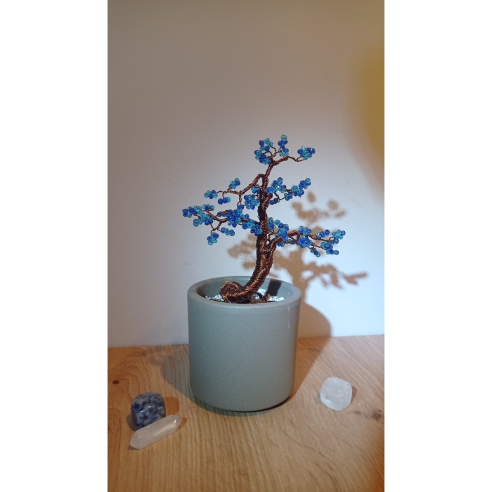 Niebieski bonsal