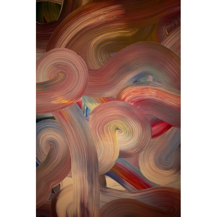 Bałtyckie sosny kołyszące się na wietrze