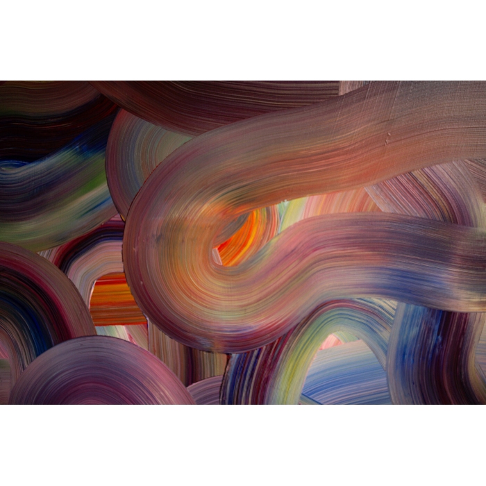 Sosny nad wybrzeżem Bałtyku