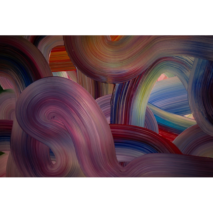 Sosny nad wybrzeżem Bałtyku