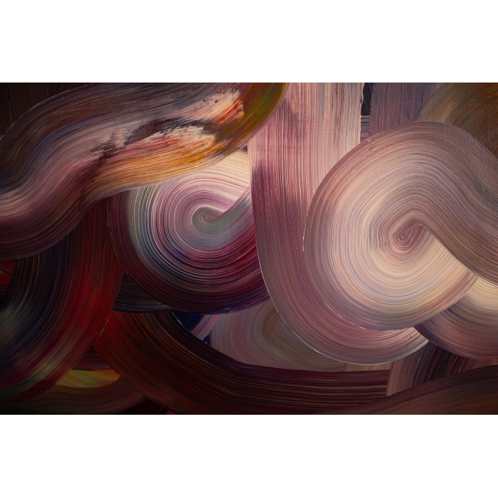 Sosny nad wybrzeżem Bałtyku