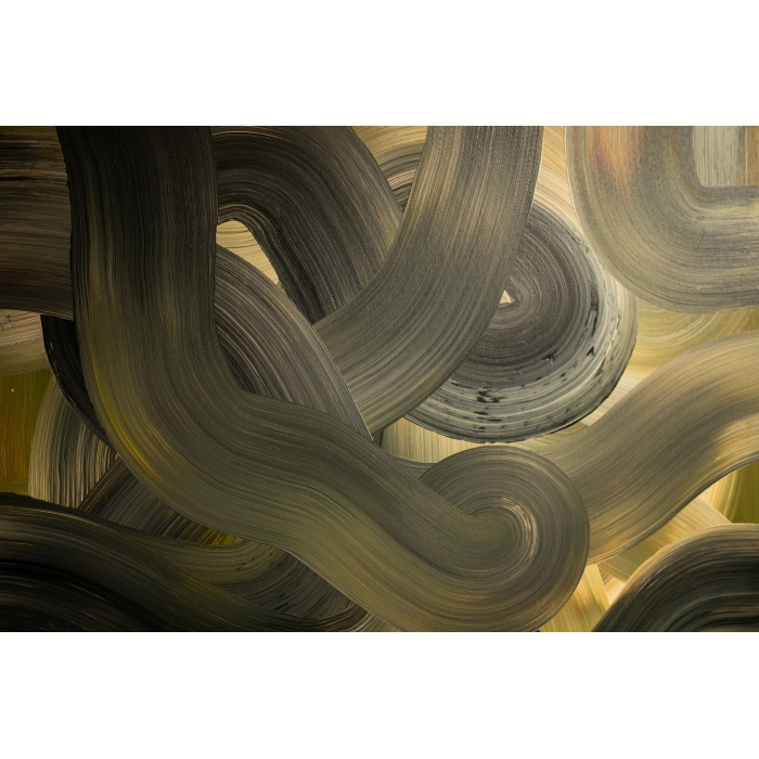 Cienie sosen na piasku