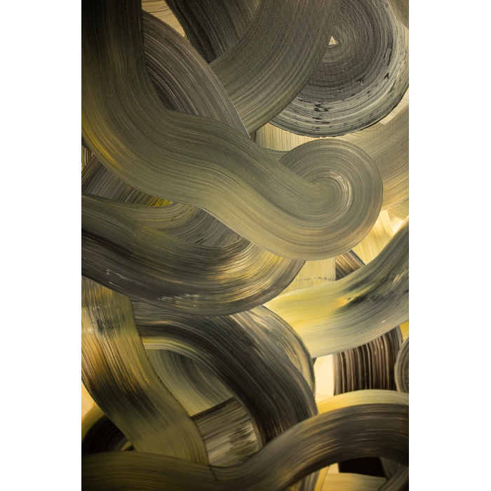 Cienie sosen na piasku