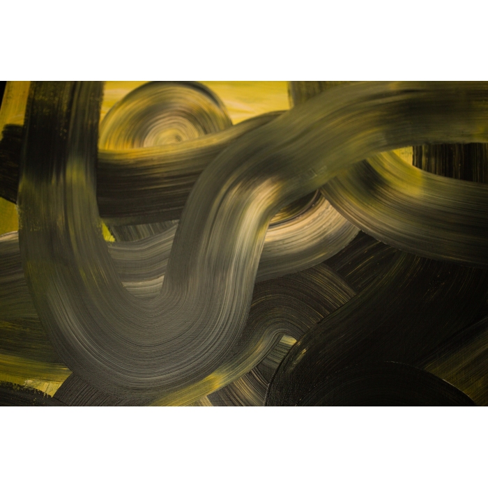 Gałęzie bałtyckich sosen