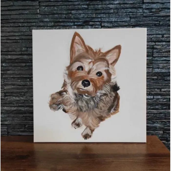 Pies york obraz na płótnie