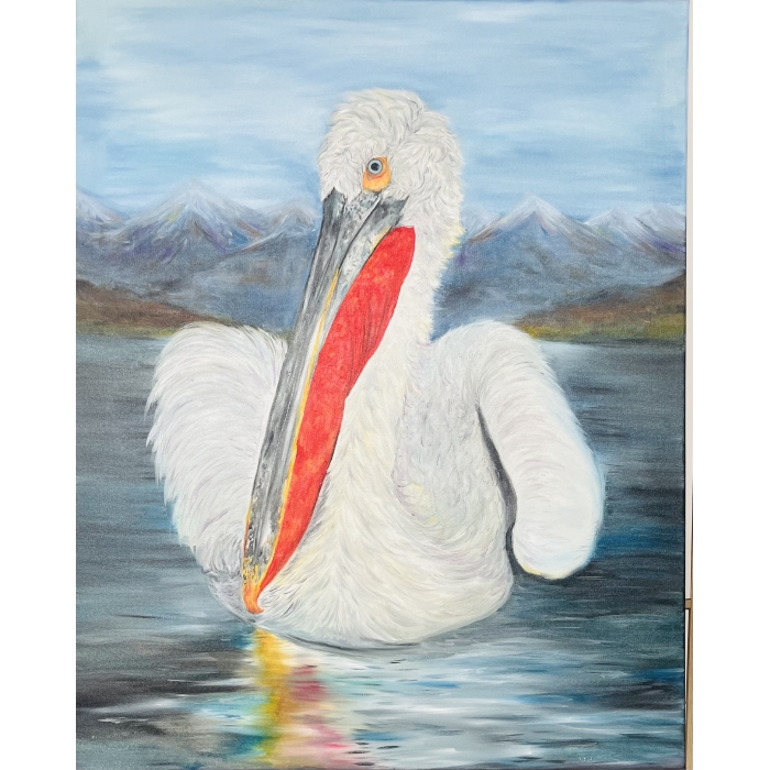Dalmatian pelican 