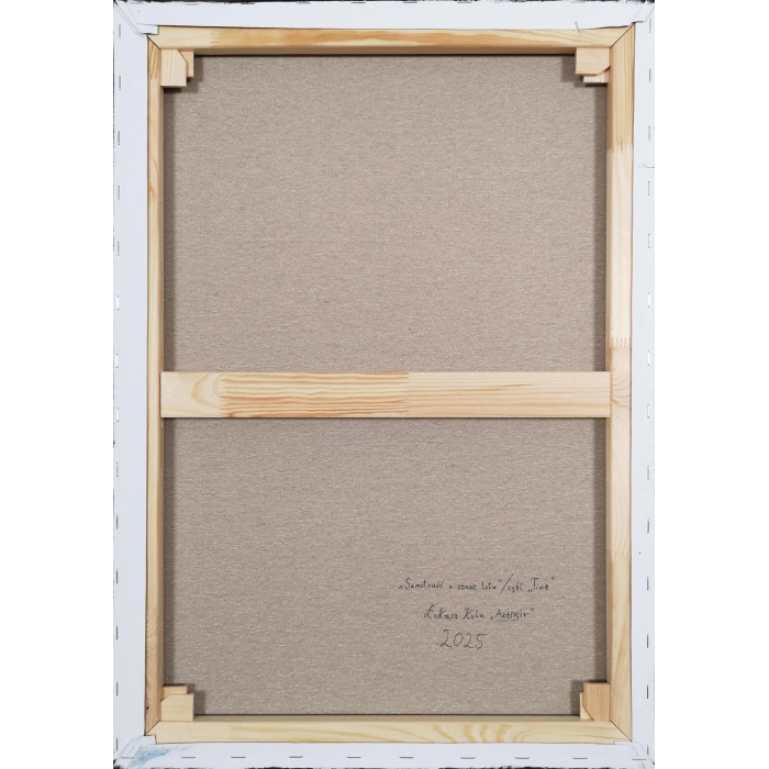 Samotność w czasie lotu / cykl Time