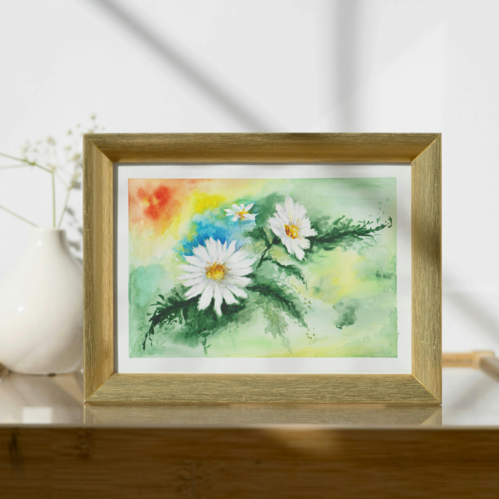 Stokrotki kwitną również w styczniu