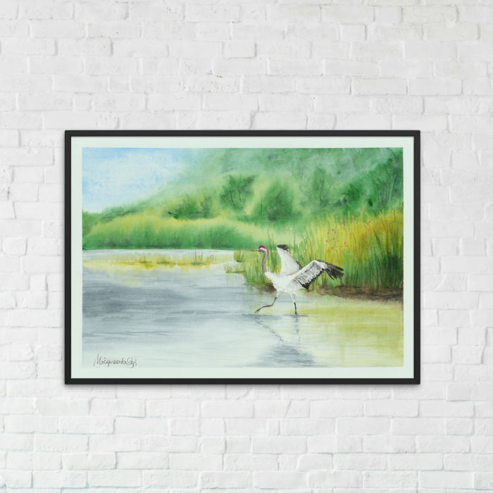 Wiosna na mokradłach