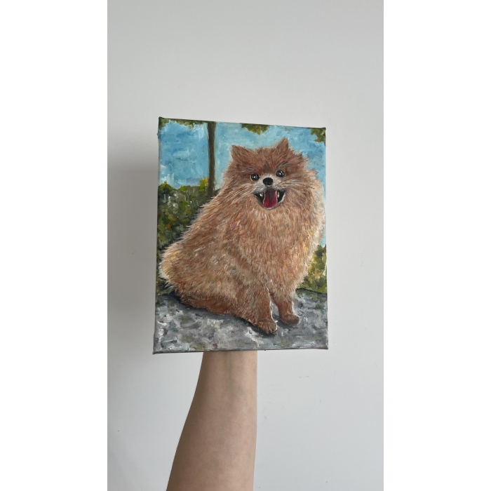 Szpic pomerański (Pomeranian)