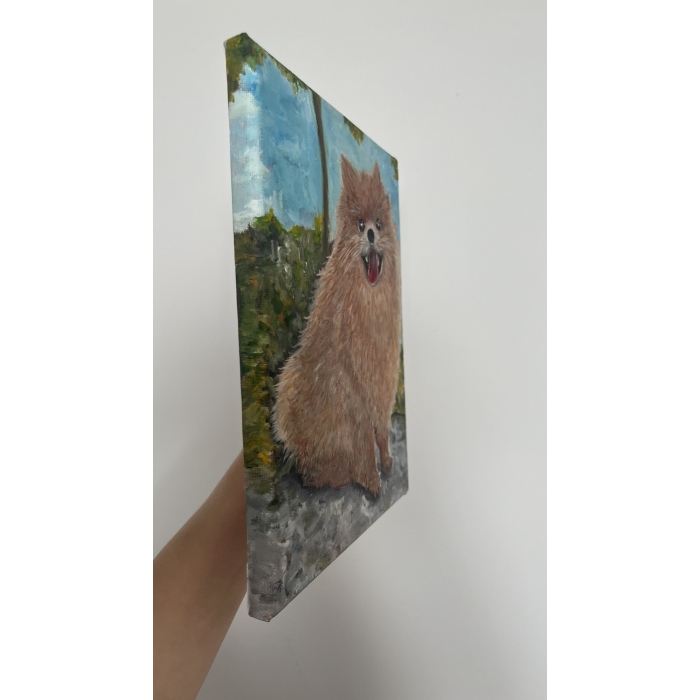 Szpic pomerański (Pomeranian)