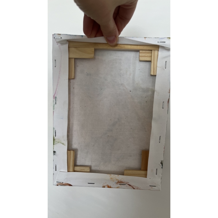 Szpic pomerański (Pomeranian)