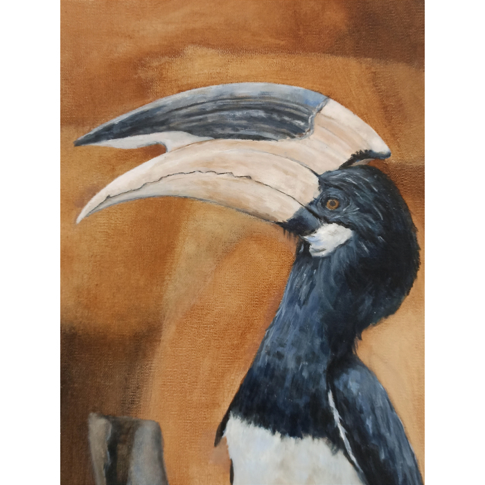 Dzioborożec / Hornbill - Leon Rysa