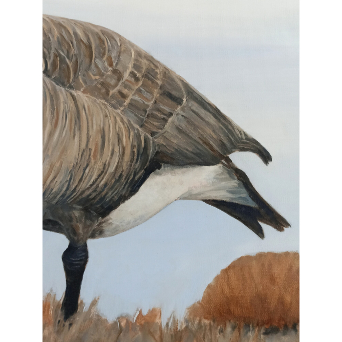 Gęś / Goose - Leon Rysa