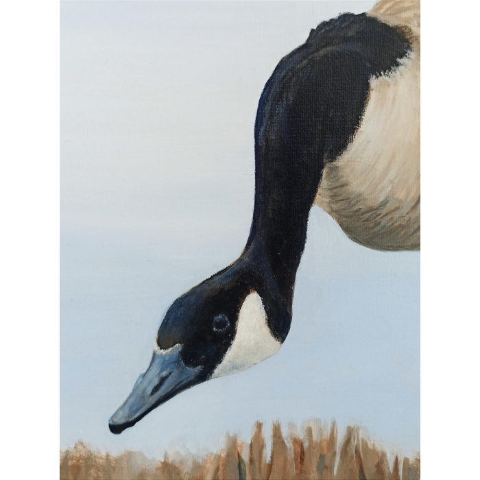 Gęś / Goose - Leon Rysa
