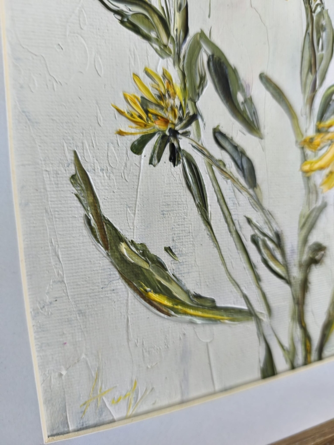 Rudbekia