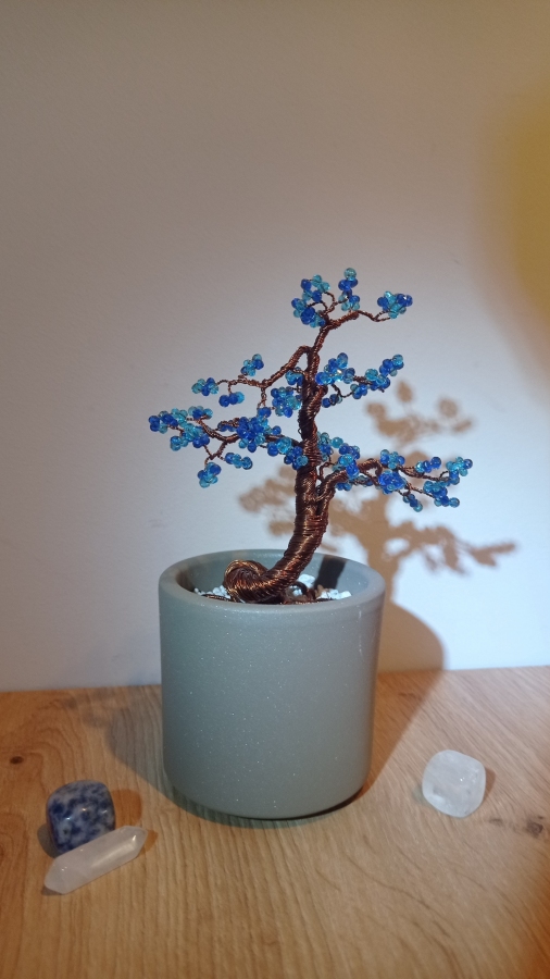 Niebieski bonsal