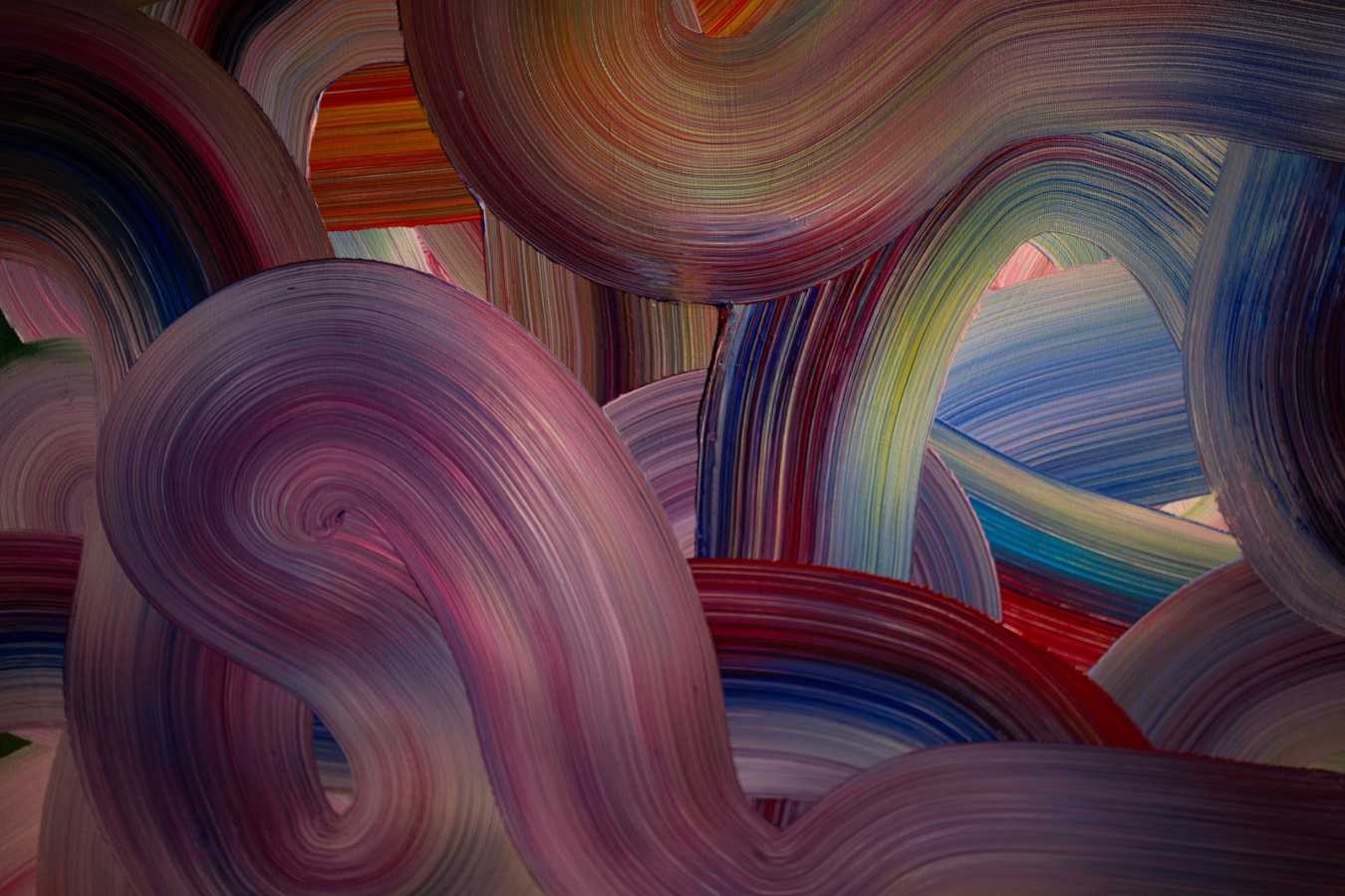 Sosny nad wybrzeżem Bałtyku