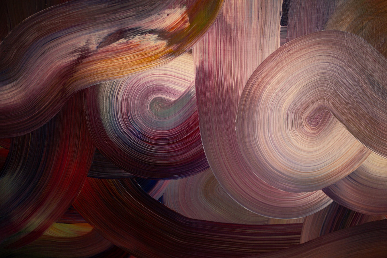 Sosny nad wybrzeżem Bałtyku