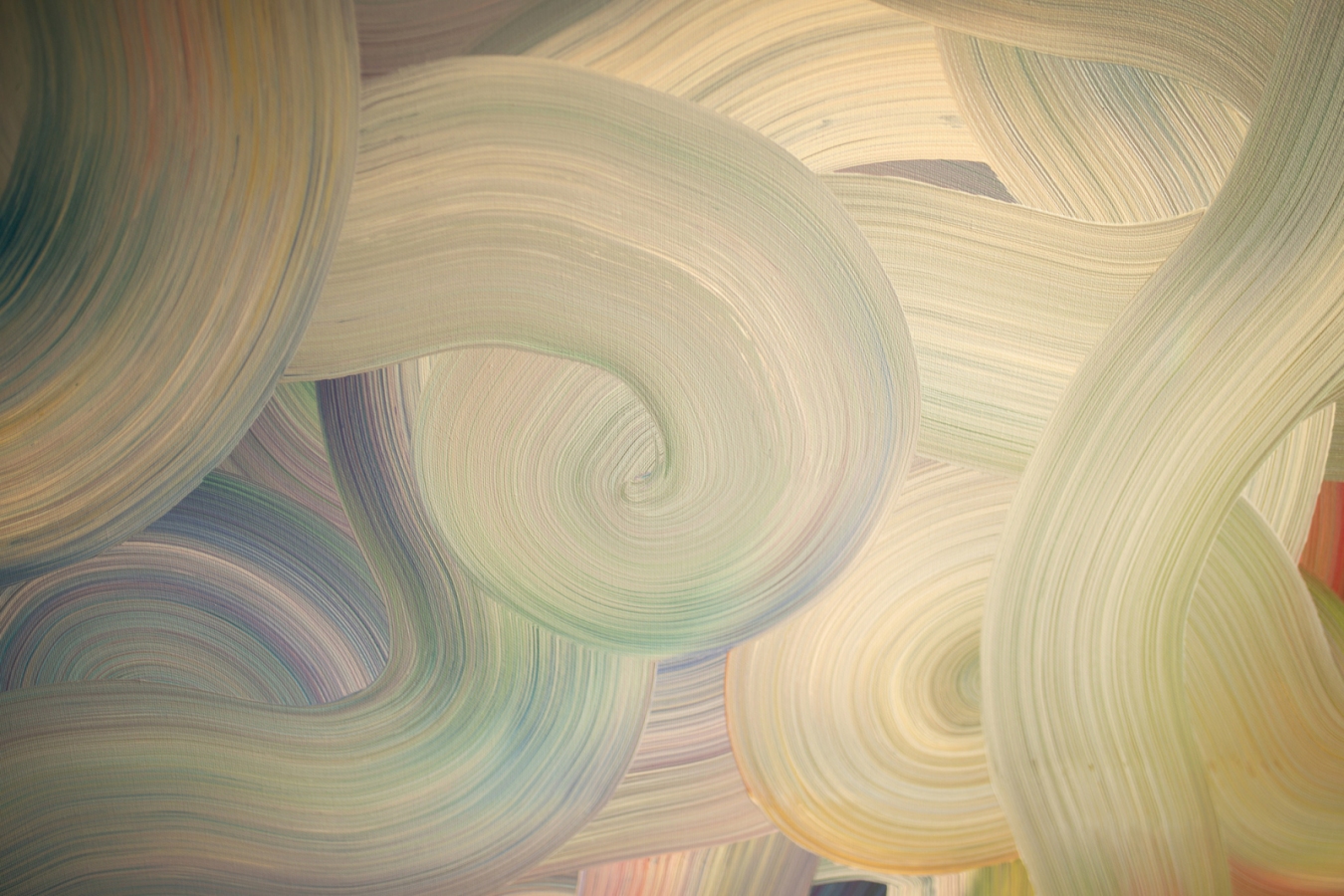 Wiatr w koronach sosen