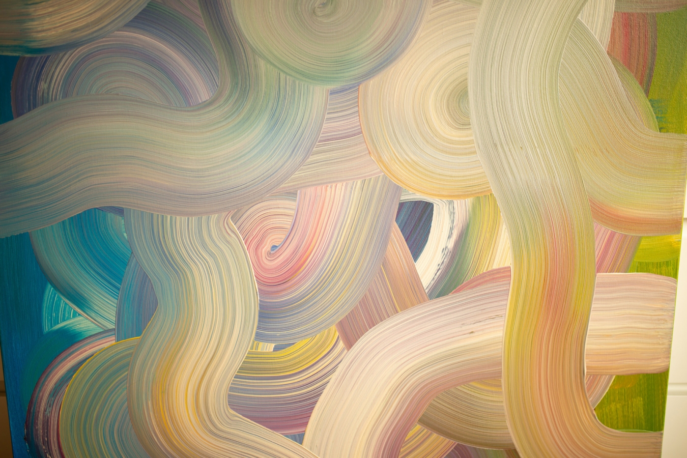 Wiatr w koronach sosen