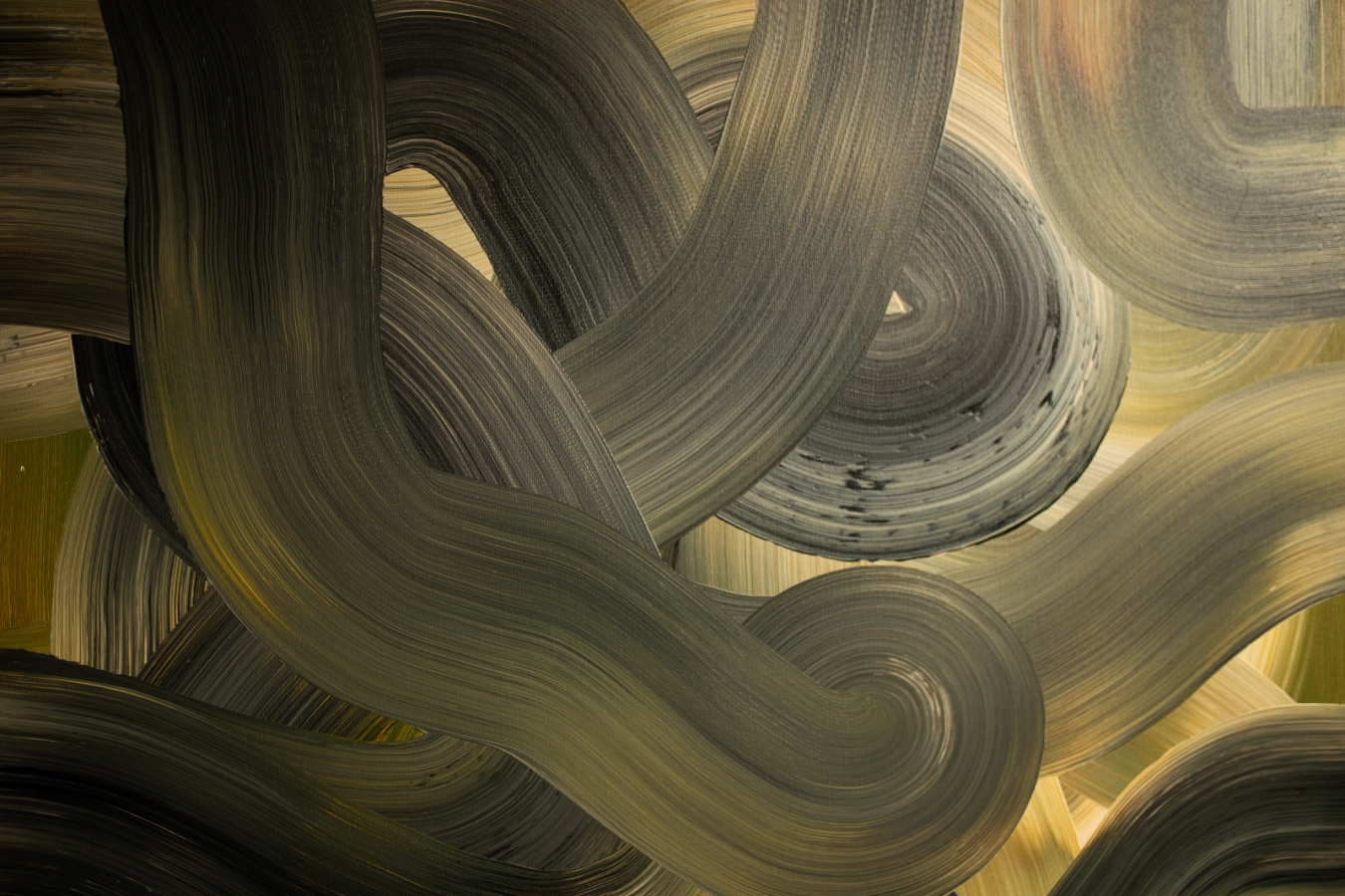 Cienie sosen na piasku