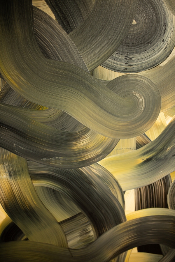 Cienie sosen na piasku