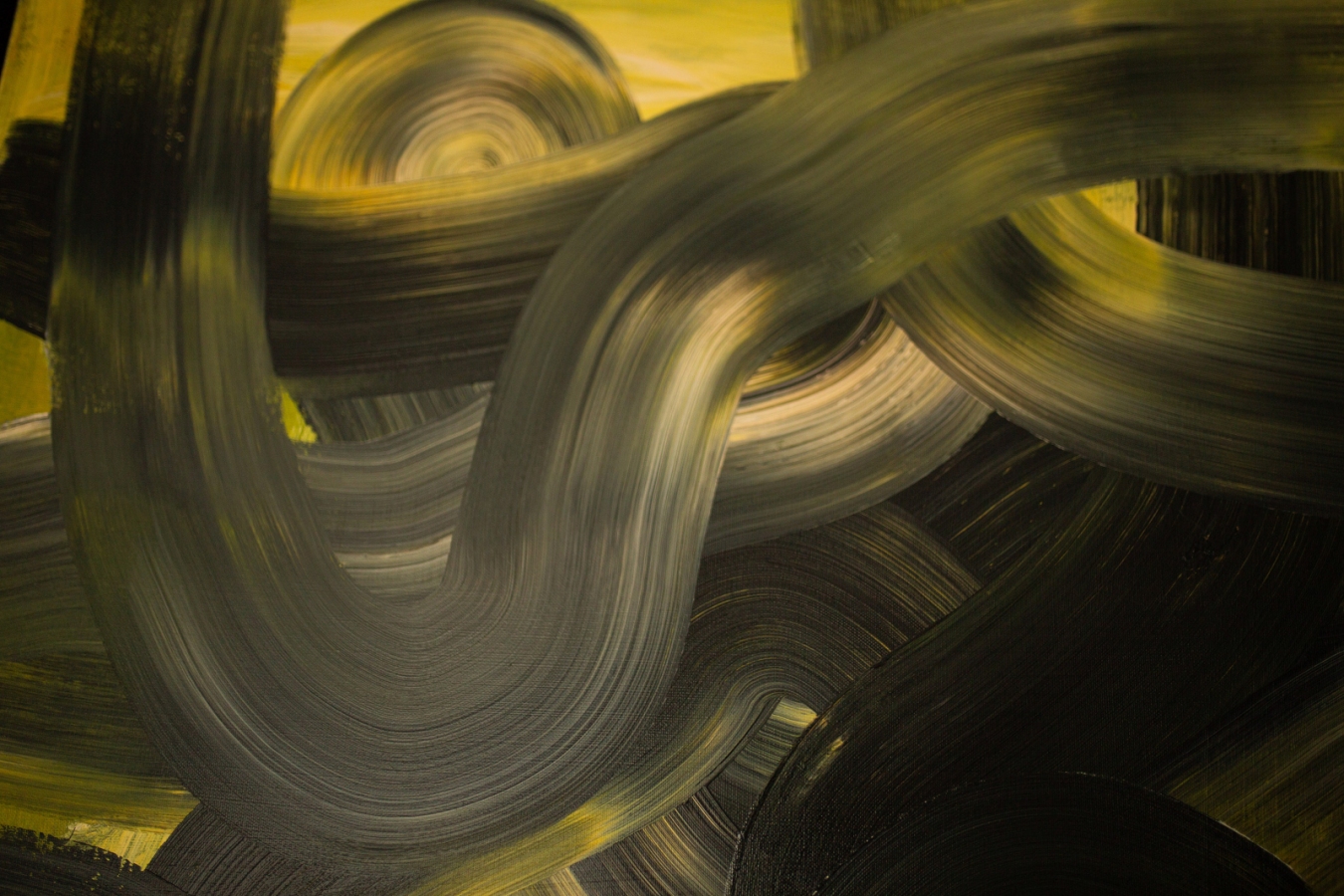 Gałęzie bałtyckich sosen