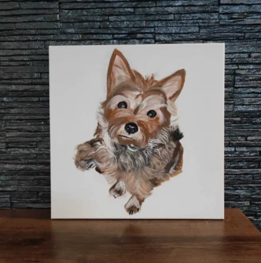 Pies york obraz na płótnie