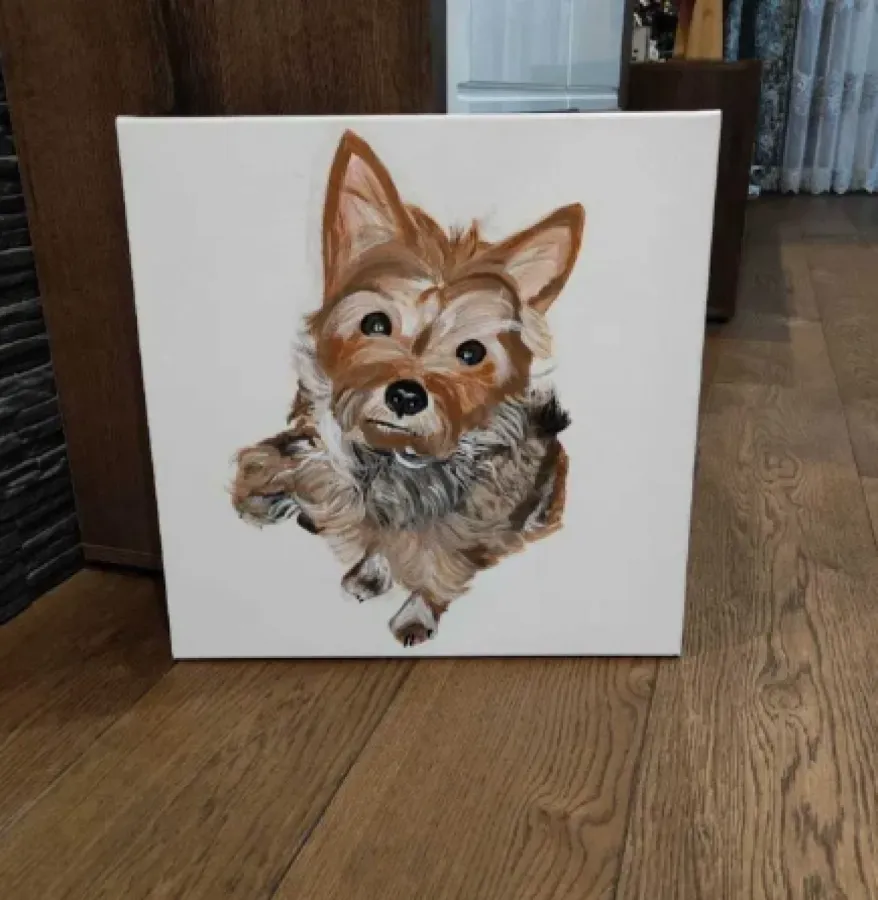 Pies york obraz na płótnie