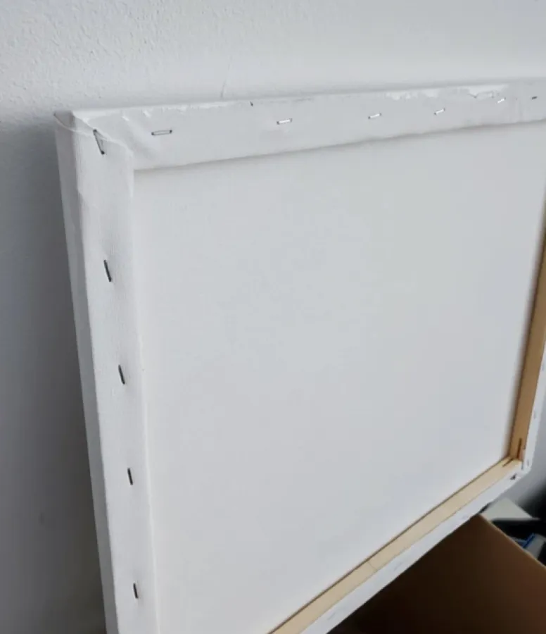 Obraz kotka na płótnie