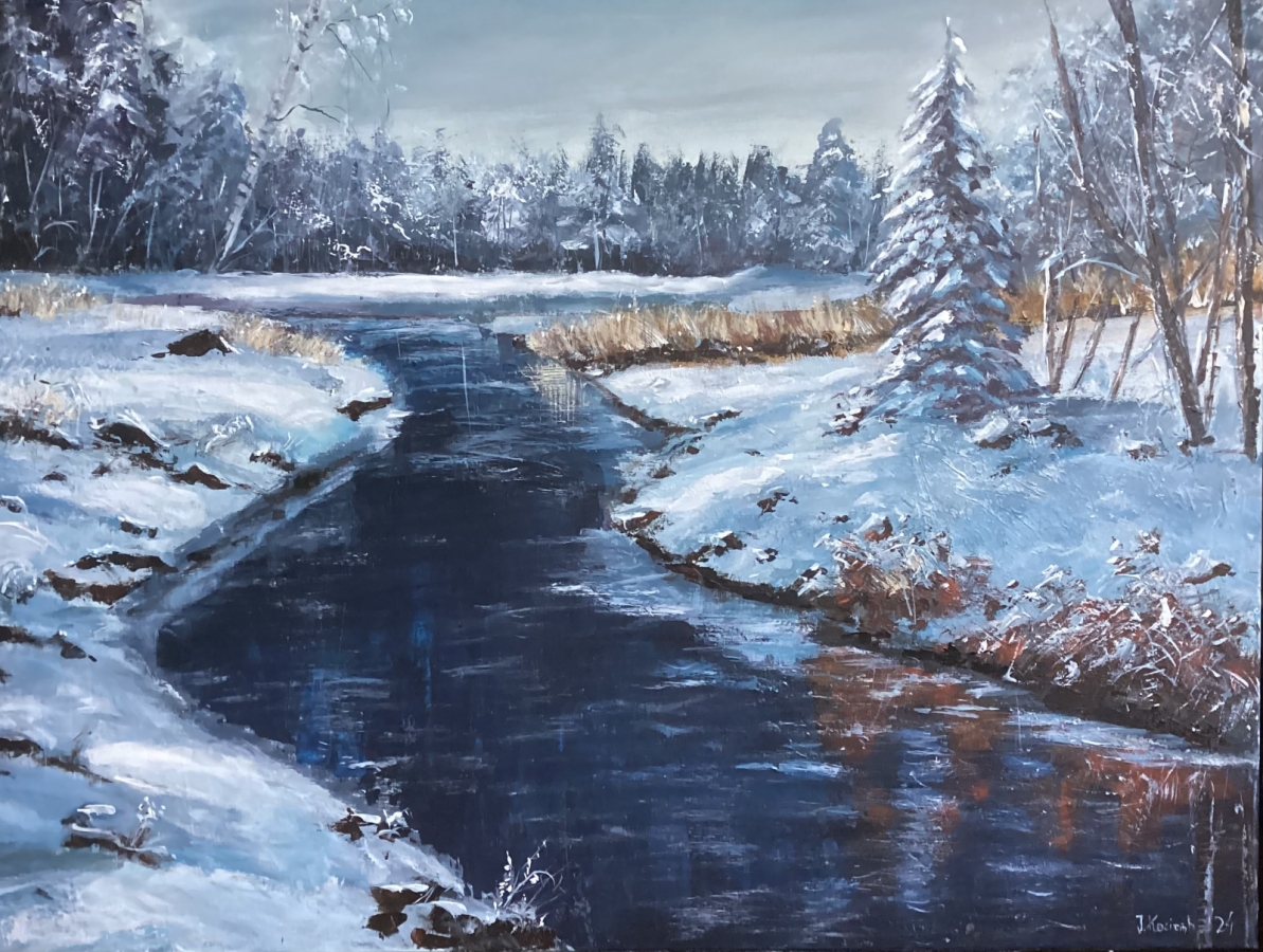 Zima w Dolinie Baryczy