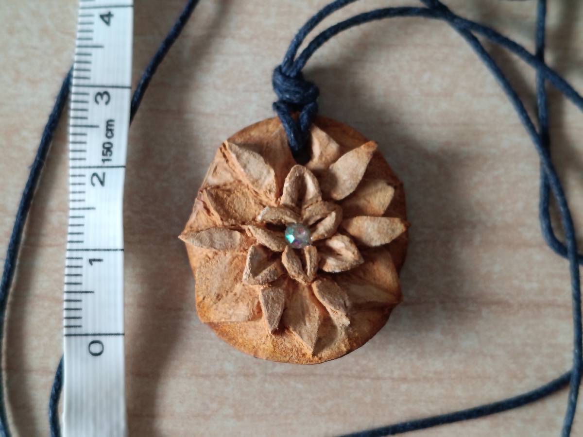 Wisior z pestki awokado z kryształkiem