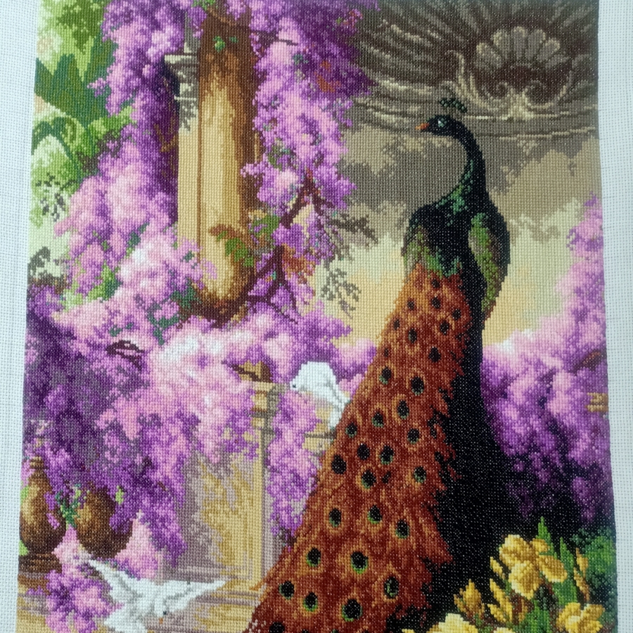 Paw i gołębie w ogrodzie