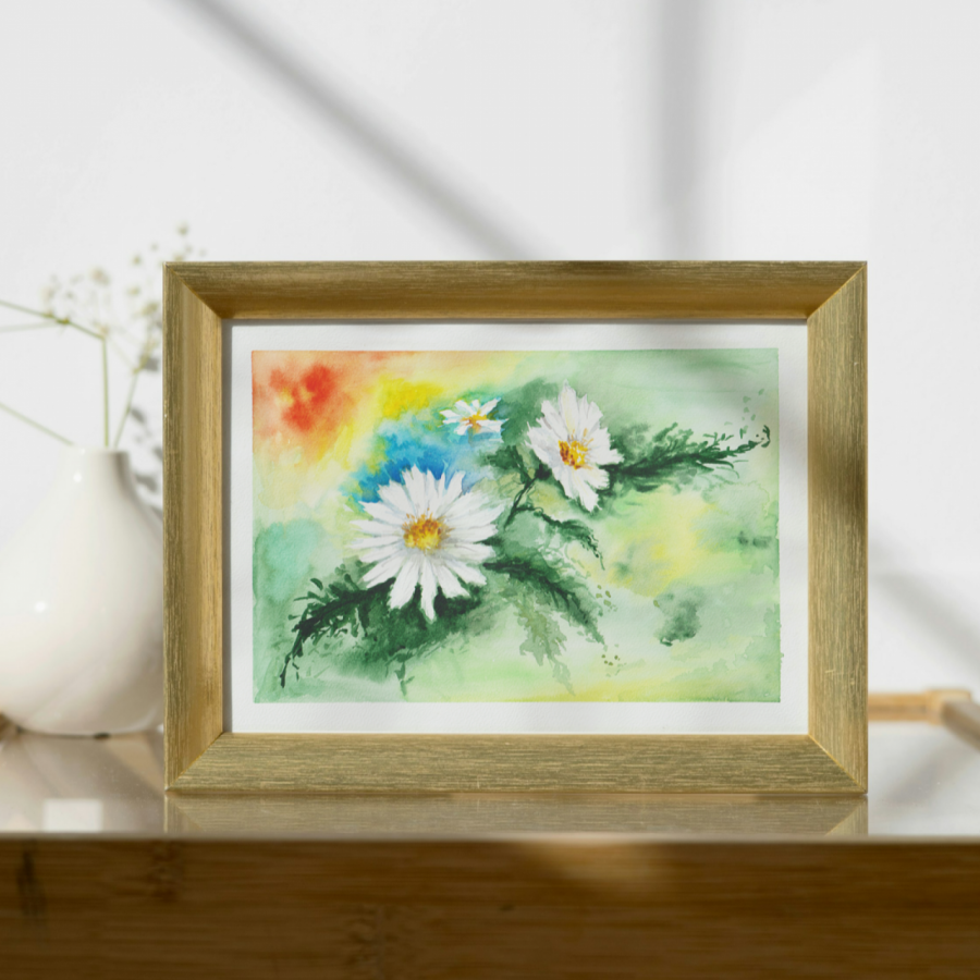 Stokrotki kwitną również w styczniu