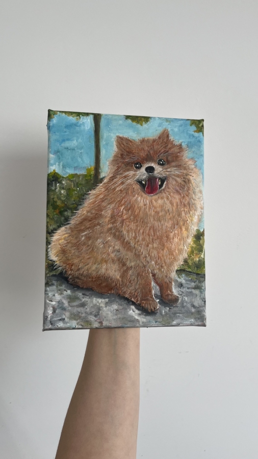 Szpic pomerański (Pomeranian)