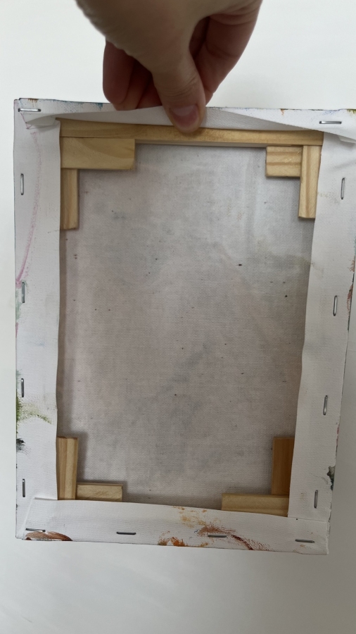 Szpic pomerański (Pomeranian)