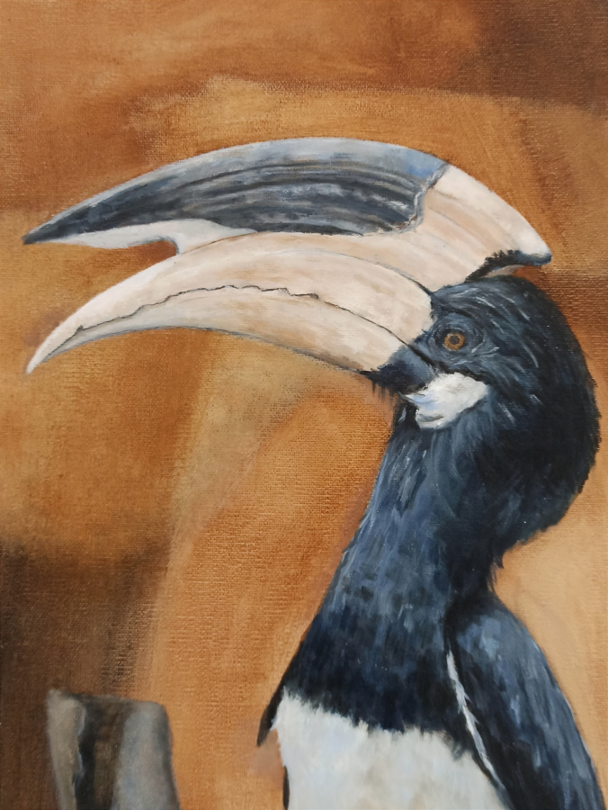 Dzioborożec / Hornbill - Leon Rysa