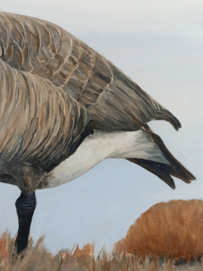 Gęś / Goose - Leon Rysa