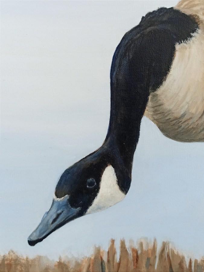 Gęś / Goose - Leon Rysa