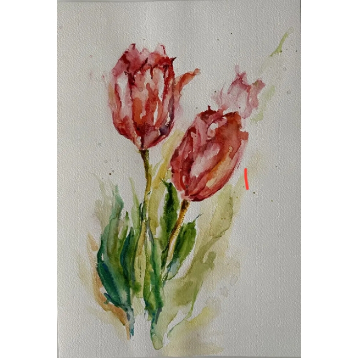 Czerwone tulipany