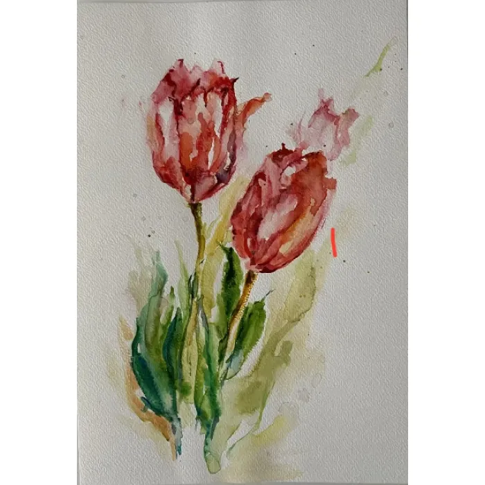 Czerwone tulipany
