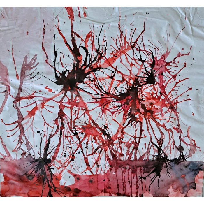 Parasite