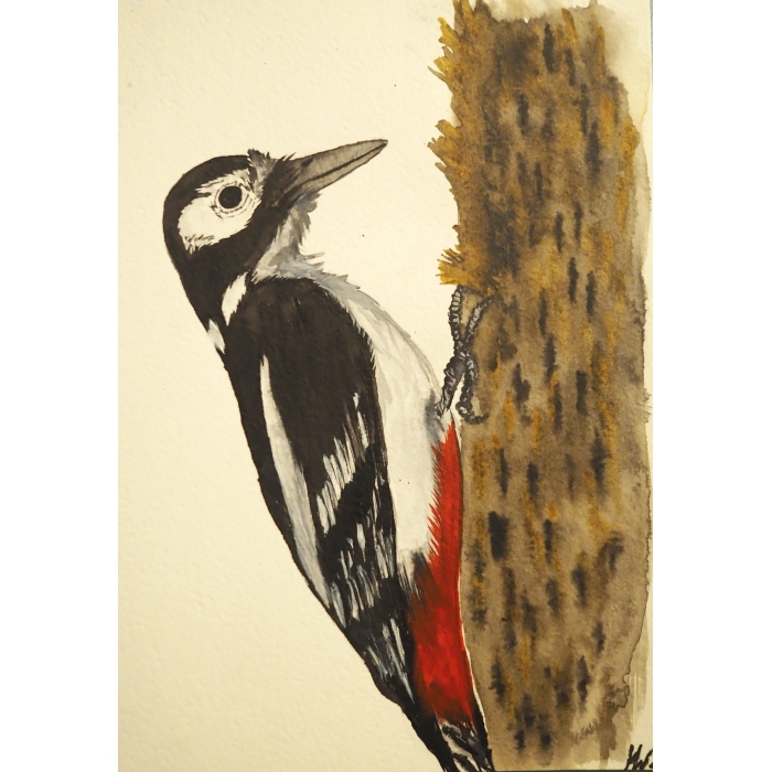 Woodpecker