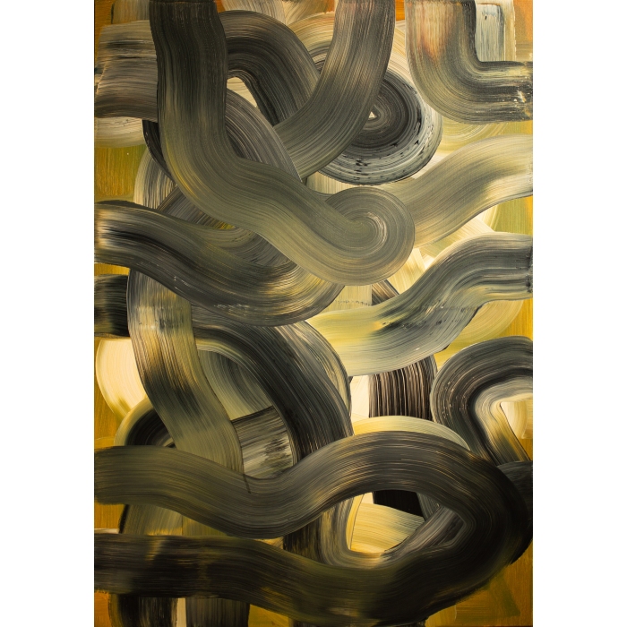 Cienie sosen na piasku