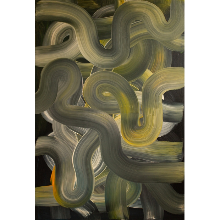 Las bałtyckich sosen w mroku nocy