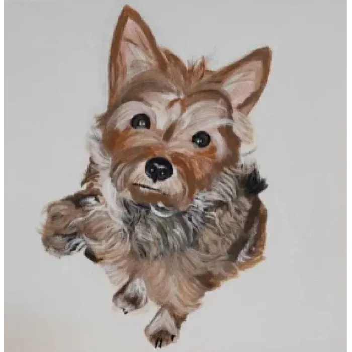 Pies york obraz na płótnie