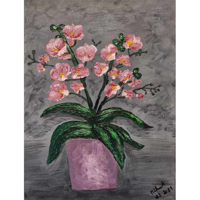 Storczyk zawsze żywy